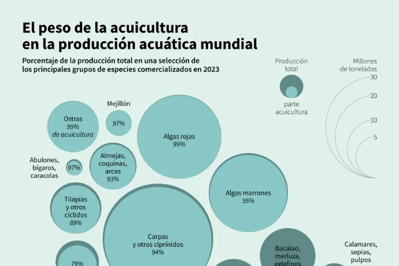 590c874a93dbdea0ac002eb655c347e4-89485035