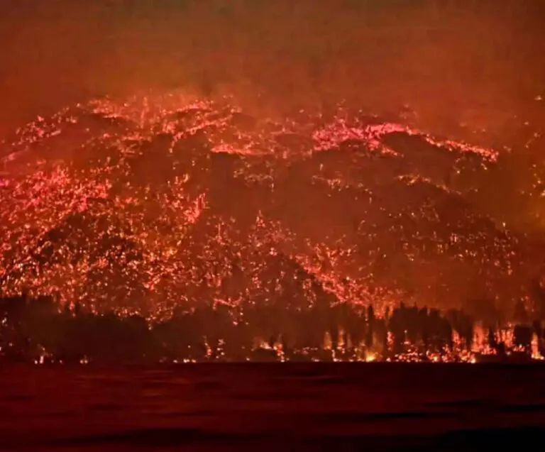 patagonia-llamas-768x637