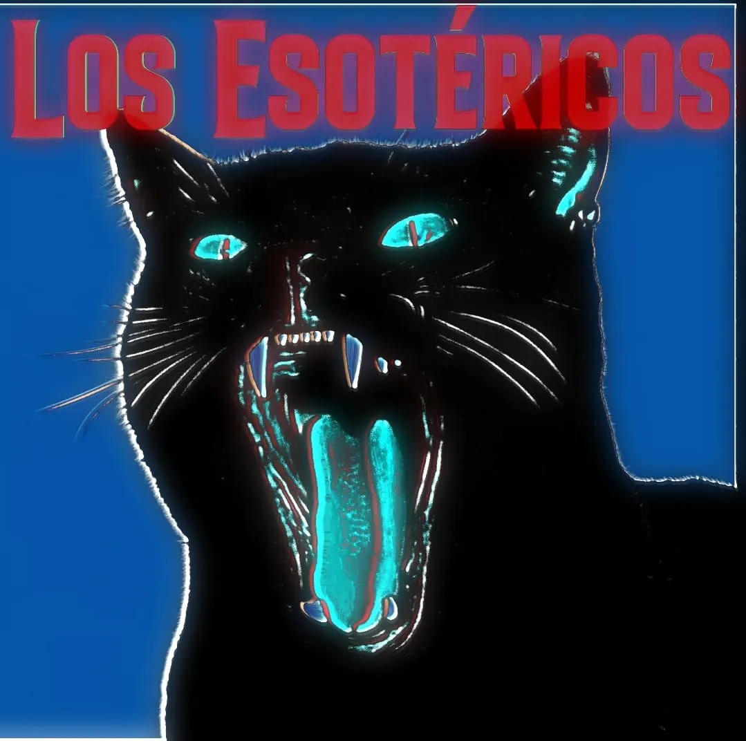 WhatsApp Image 2026-01-18 at 19.47.09