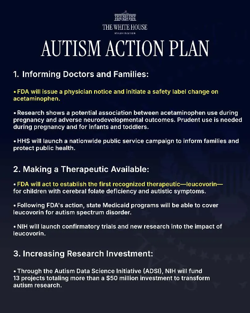 WhatsApp Image 2025-09-22 at 19.50.04